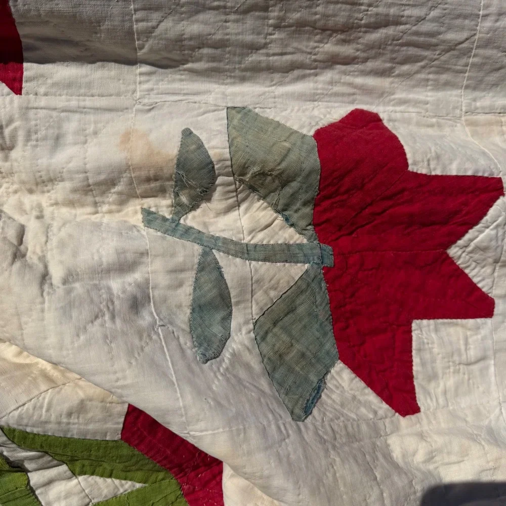 Antique Handmade Floral Applique Quilt Green White Sawtooth Border 53x44 50/60's